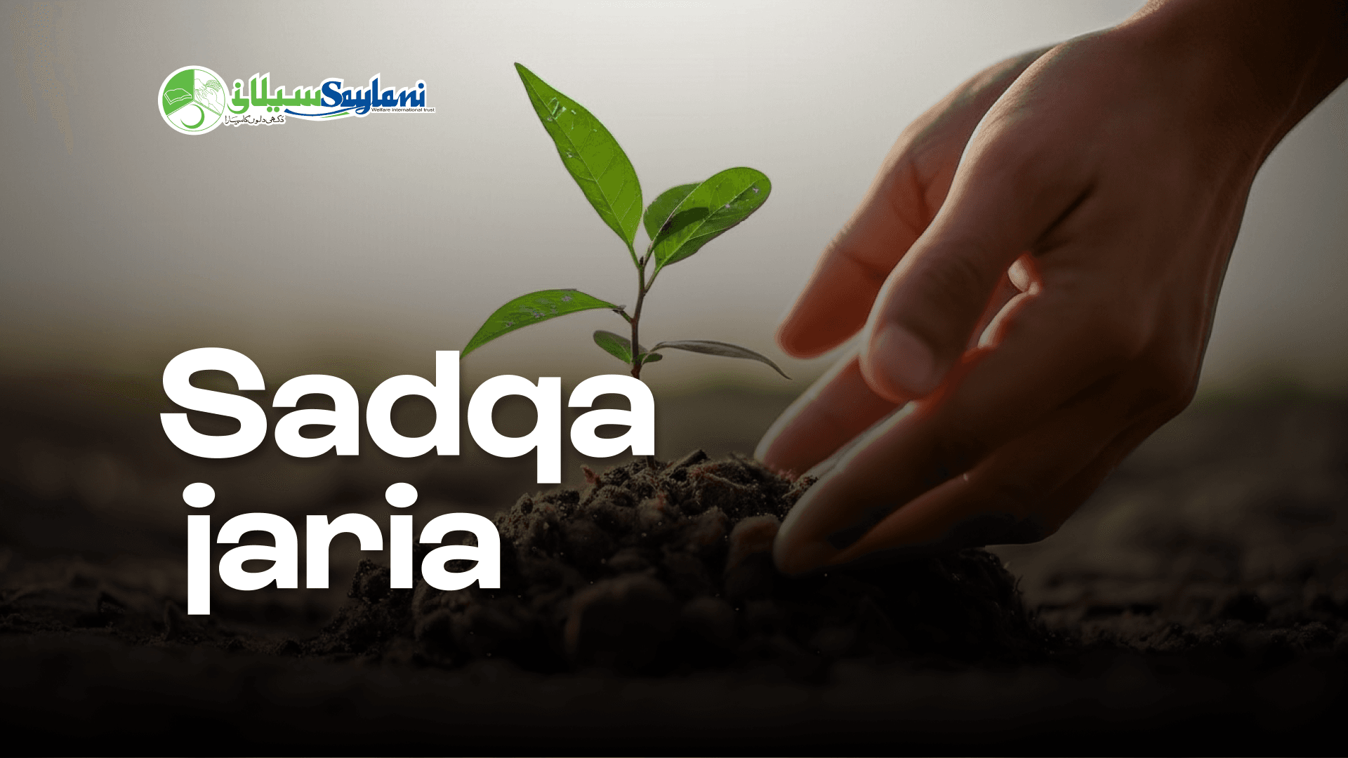 Sadqa jaria cover