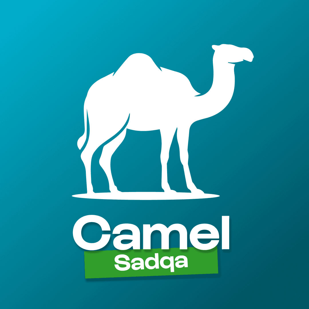 sadqa camel