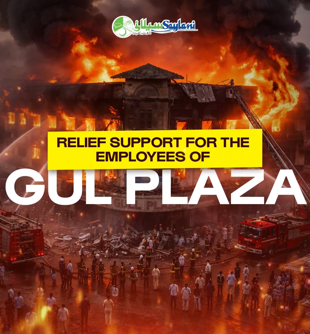 Gul plaza 1x1 usa